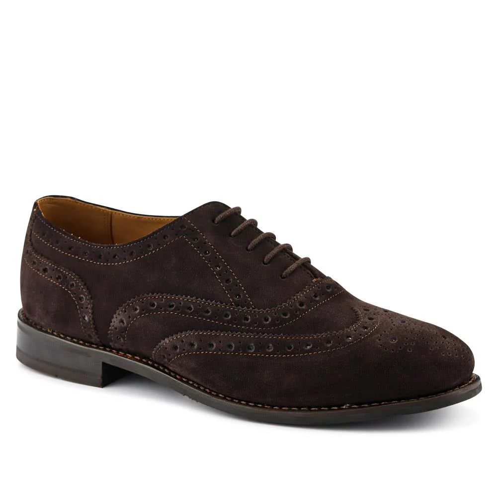Braxton Leather Brogues - BRAXTON / 326 034 - Dark Brown Suede