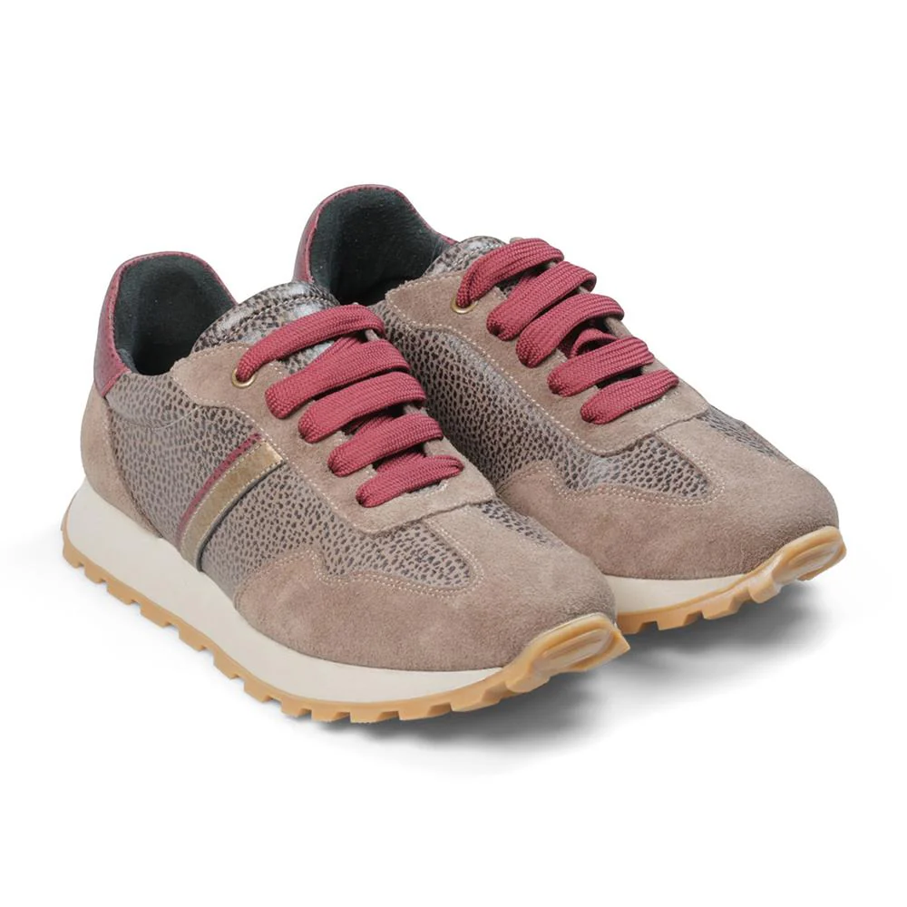Sport Lux - LYNX